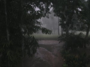 rain through the mosquito net