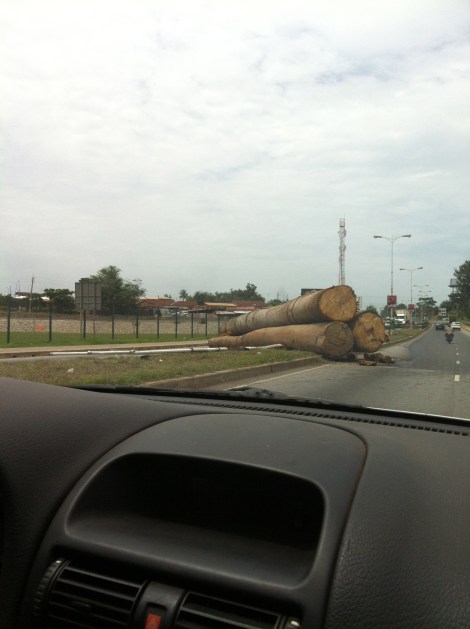 Logging truck unexpected unload. Pleased I wasn't there when it happened.