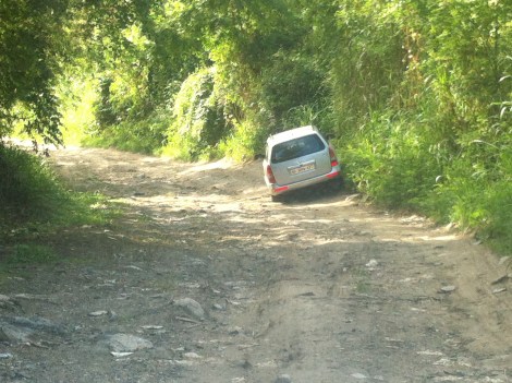 No, I haven't had too many to drink, just trying to avoid ripping the a*#e out of my car.