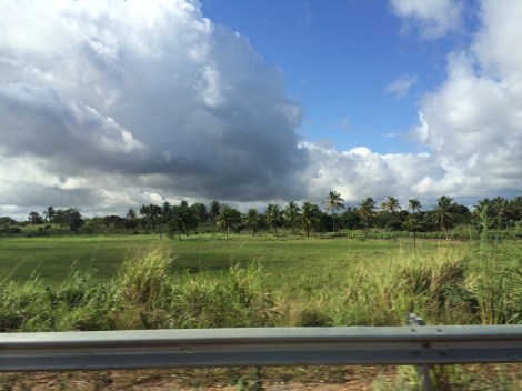 Volta River flood plains: prime agricultural land in Ghana.