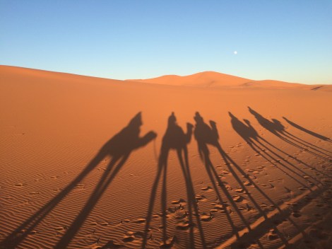Searching the Sahara for the three wise men....alas, found only ourselves.